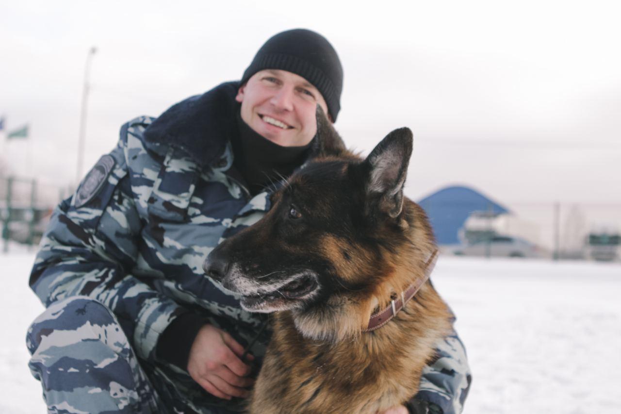 Фото «Можно валяться кверху пузом»: чем занимаются служебные собаки Новосибирска на пенсии 3